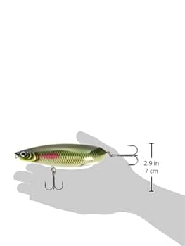 Amazon.co.jp: Rapala(ラパラ) スプーン Xラップ スクープ 14cm
